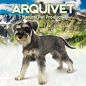 Arquivet Stainless Steel Dog Cat Bowl 350ml/13cm