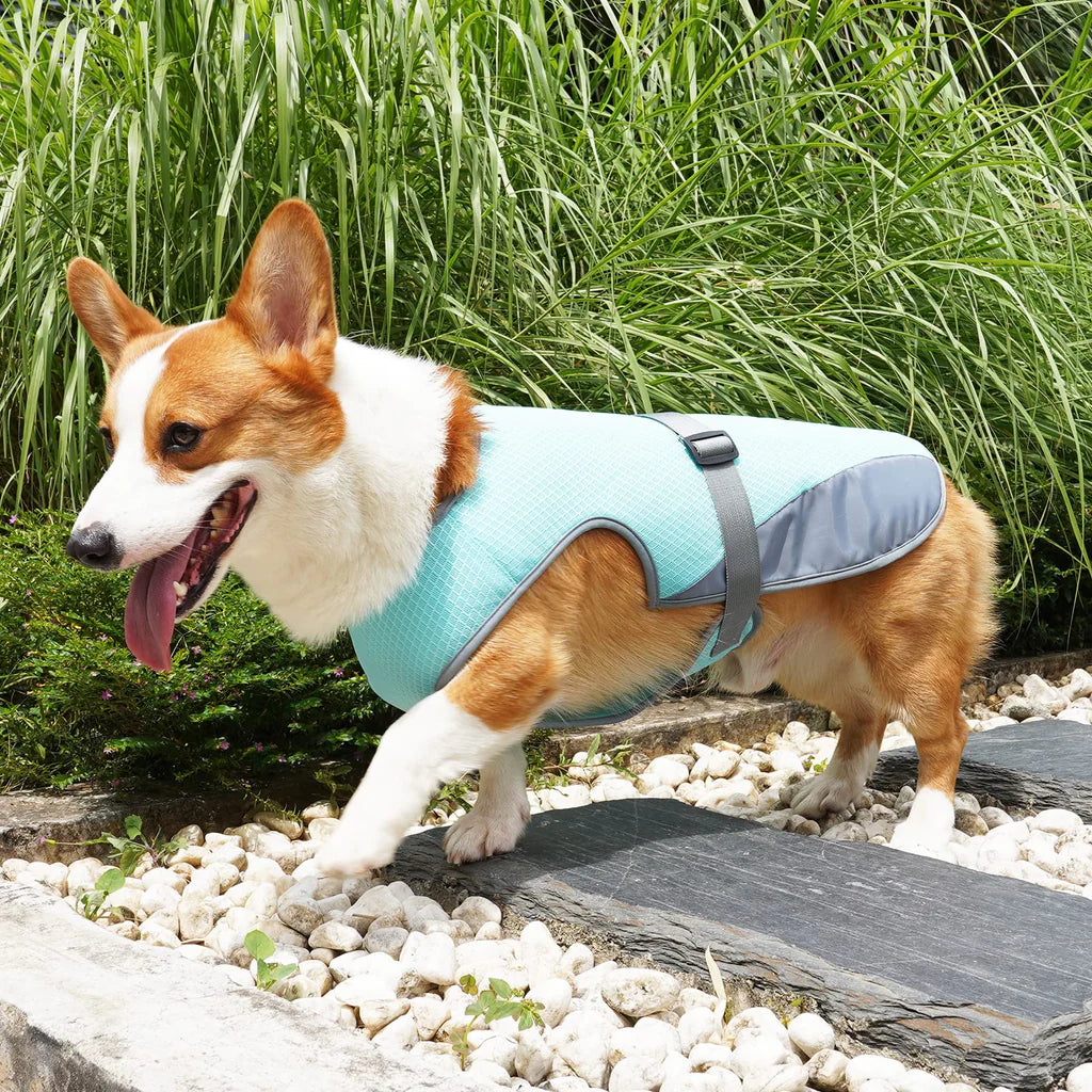 Dog Cooling Vest, Summer Cooling Coat for Dogs,Pet Cooling Vest Breathable Mesh Ice Vest Adjustable Straps Cool Jackets for Dogs